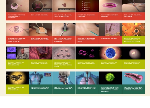 Air Force CEMM Library Web application video tiles.