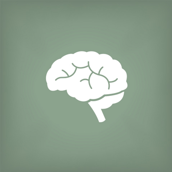 Tile Image for the Interactive Brain. A picture of a brain. 