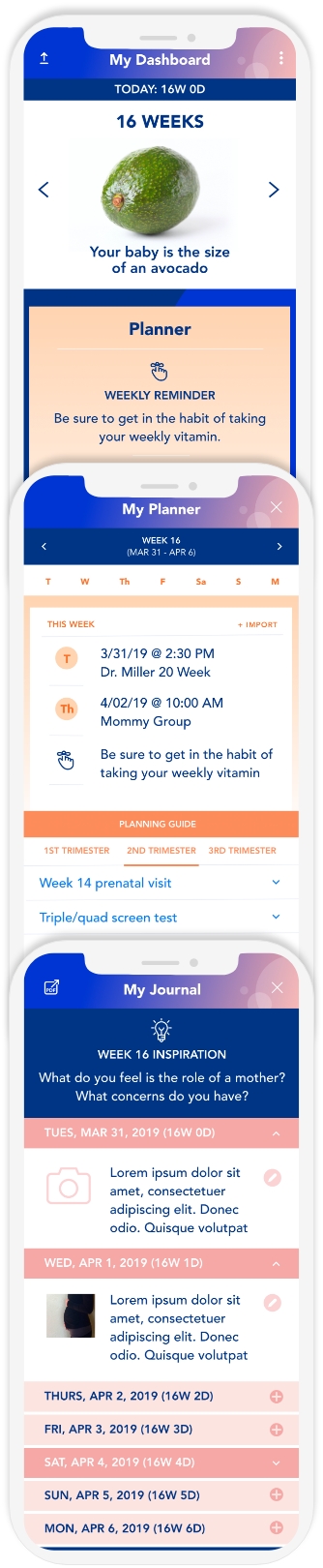 Screenshots of the pregnancy application.